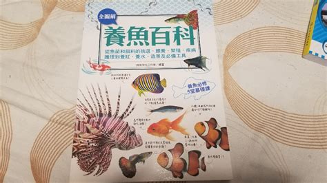 養魚玩具 玄武圖案